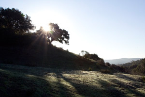 Santa Barbara Sacred Astrology Retreats - Sunburst Sanctuary - Spiritual and Healing Workshops